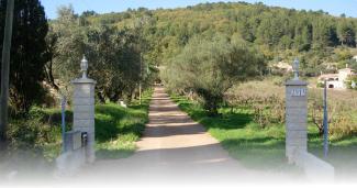 A view of the entrance alley to the Bastide